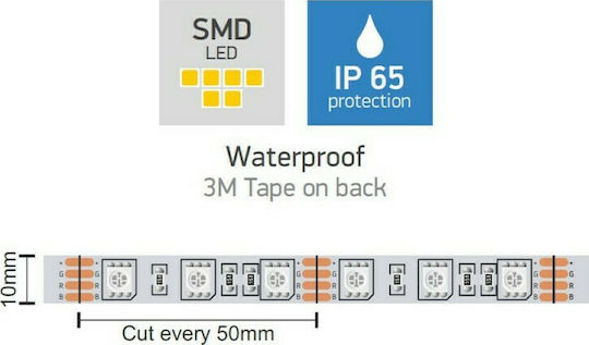 Spot Light Waterproof LED Strip 12V RGB Light 5m Type SMD5050 with Power Supply & Remote Control