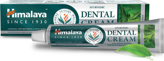 Himalaya Wellness Dental Cream Zahnpasta Neem 100gr