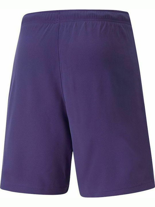 Puma Teamrise Men's Football Shorts