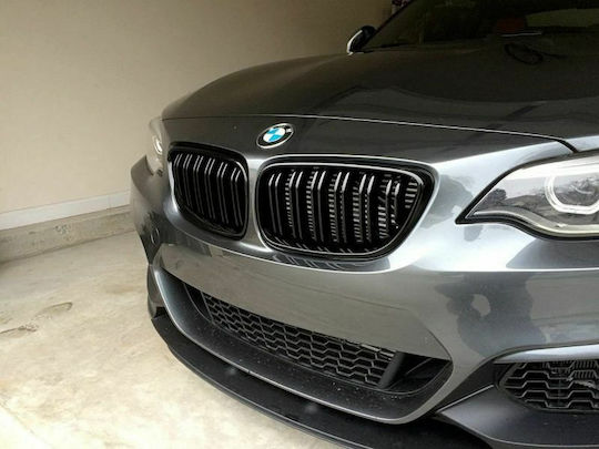 Măști decorative pentru mașini Mercedes Benz S BMW M2 / Magazin online / Serie 2 (F22) / F20