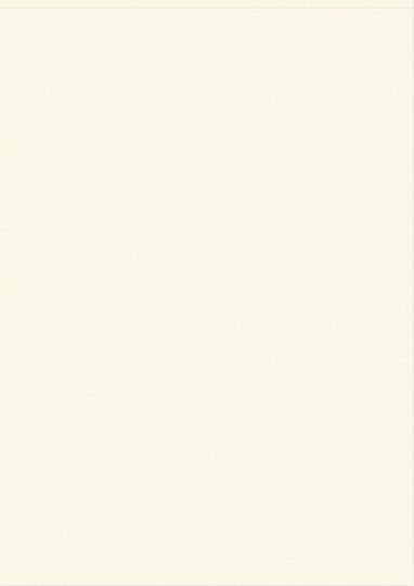 adBook Free Thinker Notepad A4 with Blank Pages Brown