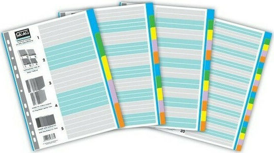 Skag Paper Dividers for Documents A4 with Holes 5pcs Colored