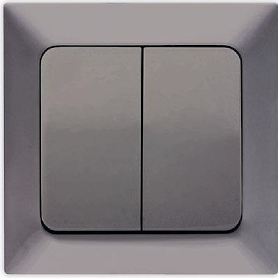 Eurolamp Recessed Electrical Lighting Wall Switch with Frame Basic Smoked 152-12302