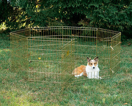 Midwest Foldable Park Dog Octagon Without Bottom 61x61 cm. made of Metal in Gold Color 61 x 61cm 5sq.m.