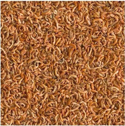Tetra Gammarus Food for Turtle for Aquatic Turtles 10g