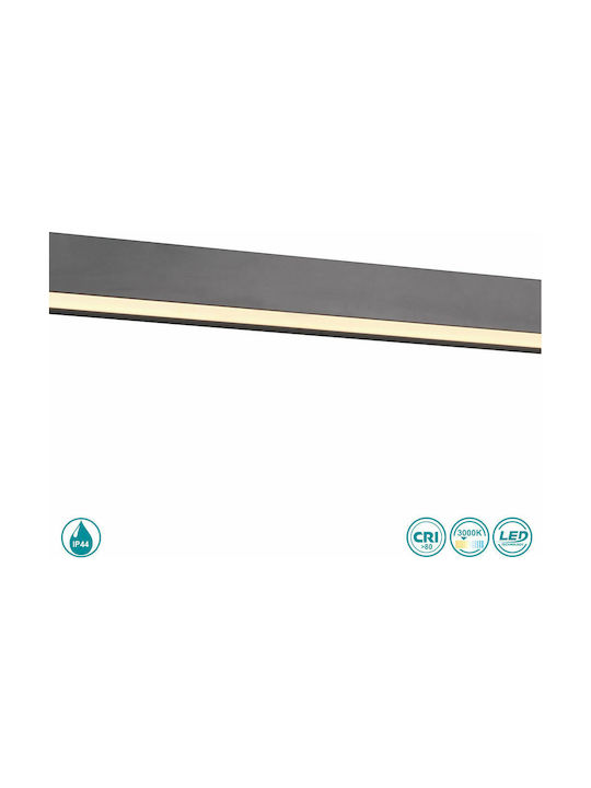 Trio Lighting Rocco Klassisch Leuchte Badezimmer mit Integrierter LED und Warmweißes Licht Schwarz 60x3.6cm