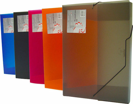 Typotrust Plastic File Box with Rubber Band Transparent 10 Pieces