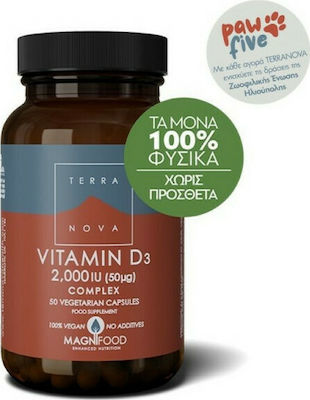 TerraNova Vitamin D3 Complex Vitamin für Stärkung des Immunsystems & die Knochengesundheit 2000iu 50 veg. Kappen