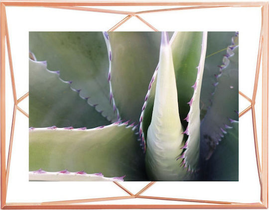 Umbra Metallic Photo Frame with Copper Frame Copper