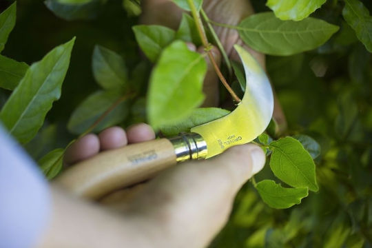 Opinel No.10 Σουγιάς Καφέ 113110