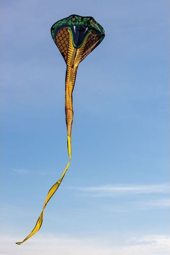 Gunther Kite Cobra Fabric with Tail, Twine & Storage Bag 400x69cm 1pcs