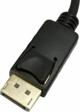 Equip 133431 Μετατροπέας DisplayPort male σε DVI-I female