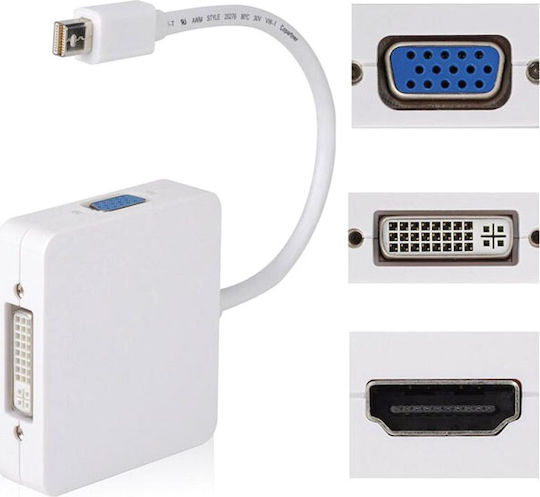 Powertech Convertor mini DisplayPort masculin în DVI-I / VGA feminin Alb 1buc CAB-DP016