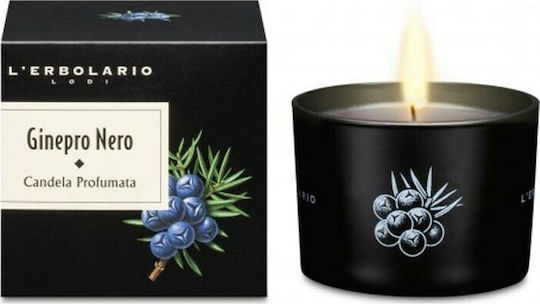 L' Erbolario Αρωματικό σε Βάζο Ginepro Nero L' Erbolario Αρωματικό σε Βάζο Ginepro Nero