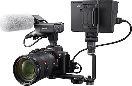 Sony XLR-K3M Microphone Shock Mounted for Camera