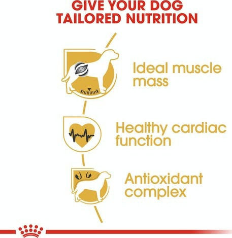 Royal Canin Adult Boxer 12kg Dry Food for Adult Medium Breed Dogs with Poultry and Rice