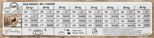 Royal Canin Adult Boxer 12kg Dry Food for Adult Medium Breed Dogs with Poultry and Rice