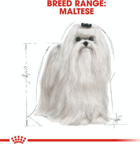 Royal Canin Adult Maltese 1.5kg Dry Food Gluten-Free for Adult Small Breed Dogs with Chicken and Rice