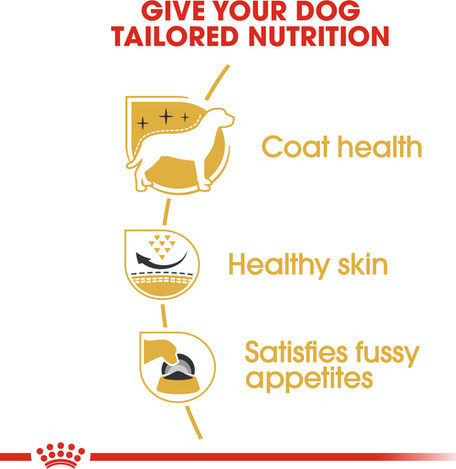 Royal Canin West Highland White Terrier Adult 1.5kg Dry Food for Adult Small Breed Dogs with Chicken and Rice