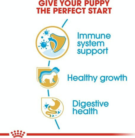 Royal Canin Puppy Jack Russell Terrier 3kg Dry Food Diet for Small Breed Puppies with Poultry and Rice