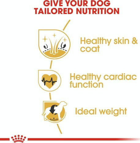 Royal Canin Adult Golden Retriever 3kg Dry Food for Adult Large Breed Dogs with Poultry and Rice
