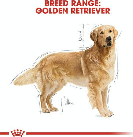 Royal Canin Adult Golden Retriever 3kg Dry Food for Adult Large Breed Dogs with Poultry and Rice