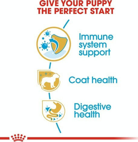 Royal Canin Poodle Junior 3kg Dry Food for Small Breed Puppies with Poultry