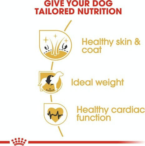 Royal Canin Adult Cocker 12kg Dry Food Gluten-Free for Adult Medium Breed Dogs with Brown rice and Chicken