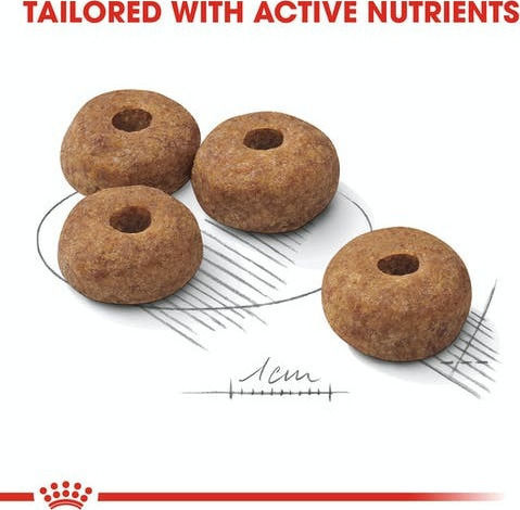 Royal Canin Medium Sterilised 3kg Dry Food Gluten-Free for Adult Neutered Medium Breed Dogs with Poultry