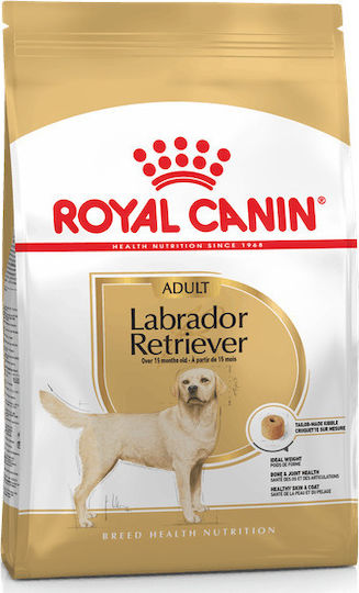 Royal Canin Adult Labrador Retriever 12kg Dry Food Gluten-Free for Adult Large Breed Dogs with Poultry and Rice