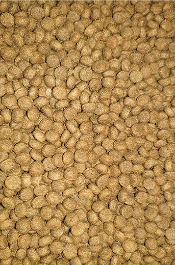 Viozois Nutridog Premium 20kg Ξηρά Τροφή για Ενήλικους Σκύλους με Κοτόπουλο