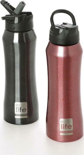 Ecolife Interior Recyclable Bottle Thermos Stainless Steel BPA Free 550ml Black with Mouthpiece and Straw