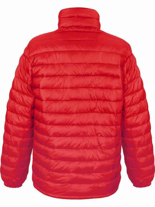 Result Bird Men's Winter Puffer Jacket Red