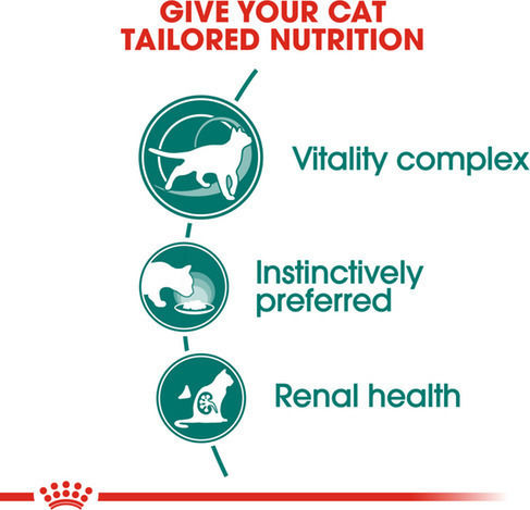 Royal Canin Instinctive 7+ Nassfutter für Erwachsene Katzen in Beutel mit Geflügel 85gr
