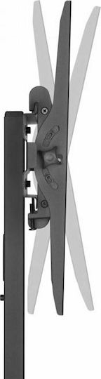 Sbox FS-224 Δαπέδου έως 55" και 35kg