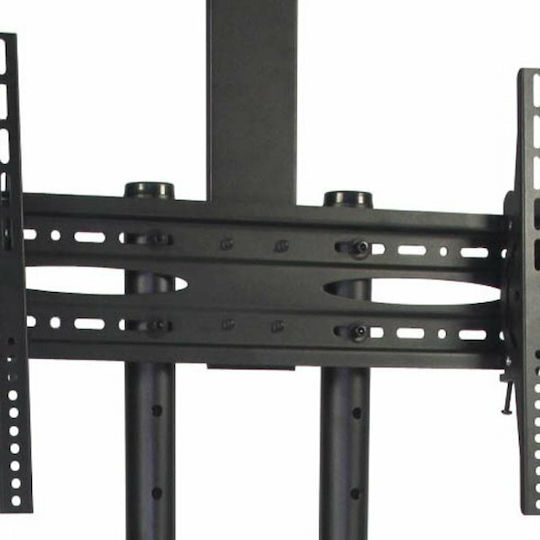 GlobalExpress GL-21795 Δαπέδου έως 65" και 50kg