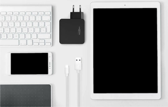 Ansmann Charger Without Cable with USB-A Port and USB-C Port 60W Power Delivery Blacks (254PD)