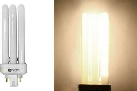 Adeleq Lampă Fluorescentă pentru Dulie G24Q 32W