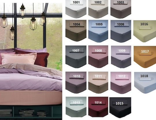 Das Home Sheet for Single Bed 170x260cm. 1015 Black