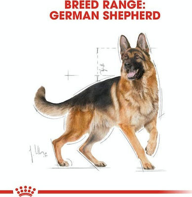 Royal Canin Adult German Shepherd 3kg Dry Food for Adult Dogs of Large Breeds with Poultry and Rice