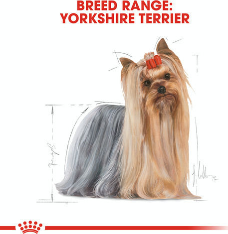 Royal Canin Adult Yorkshire Terrier 1.5kg Dry Food Gluten-Free for Adult Small Breed Dogs with Poultry and Rice