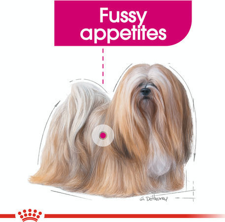Royal Canin Exigent Mini 3kg Hrană Uscată pentru Câini Adulţi de Rase Mici cu Păsări de curte și Orez