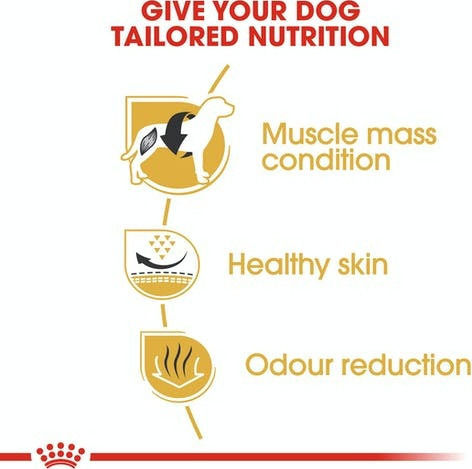 Royal Canin Adult French Bulldog 3kg Dry Food Gluten-Free for Adult Small Breed Dogs with Poultry