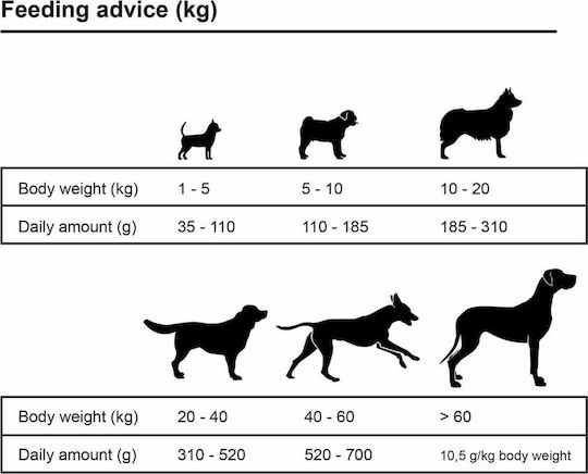 Premium Maxi Adult Essence 15kg Dry Food for Adult Large Breed Dogs with Beef and Chicken