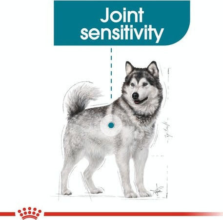 Royal Canin Joint Care Maxi 3kg Dry Food for Adult Large Breed Dogs with Corn and Rice