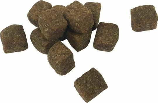 Premium Adult Active Chicken 15kg Dry Dog Food for Adult Dogs with Chicken and Fish