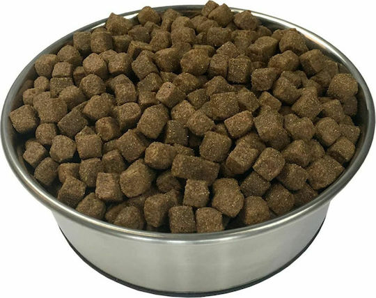 Premium Adult Active Chicken 15kg Dry Dog Food for Adult Dogs with Chicken and Fish