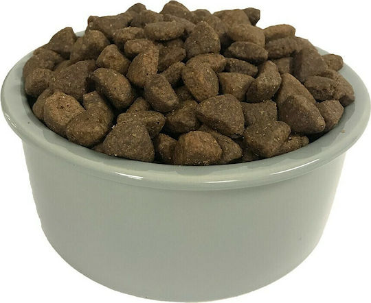 Wellness Core Puppy Original Large Breed 10kg Ξηρά Τροφή χωρίς Σιτηρά για Κουτάβια Μεγαλόσωμων Φυλών με Γαλοπούλα και Κοτόπουλο