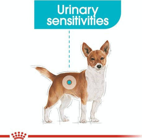 Royal Canin Urinary Care Mini 3kg Dry Food Gluten-Free for Adult Small Breed Dogs with Rice