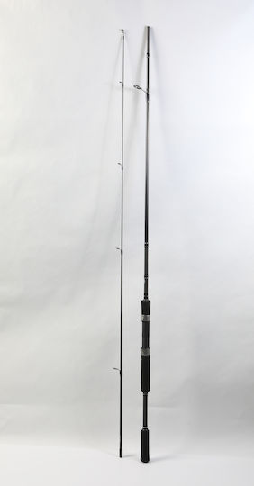 Shimano FX XT Fishing Rod for Spinning 2.70m 10-30gr